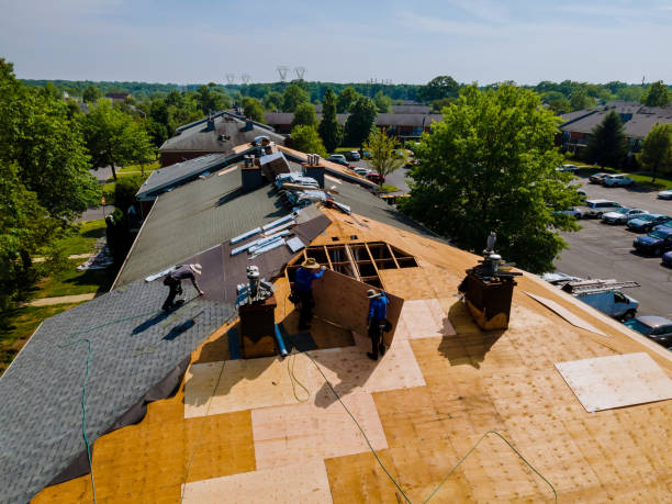 Best Metal Roofing Contractor  in Morenci, MI