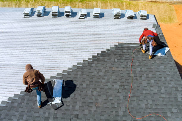 Best Local Roofing Companies  in Morenci, MI