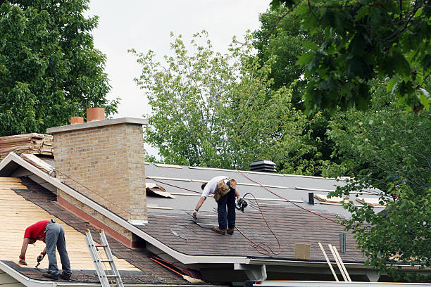 Best Roof Leak Repair  in Morenci, MI