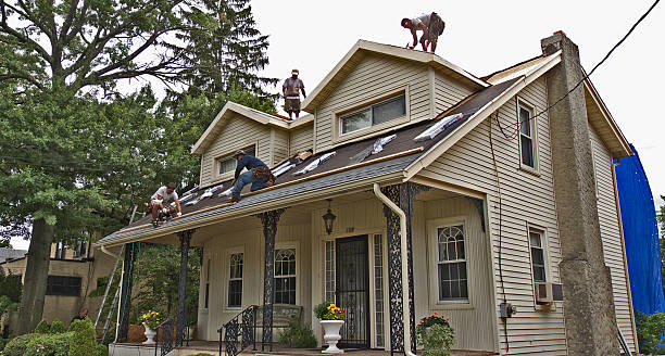 Best Shingle Roofing Installation  in Morenci, MI