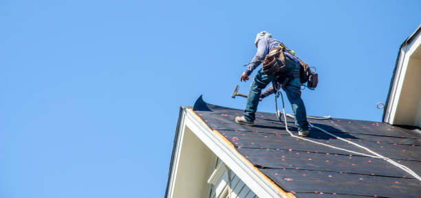 Best Roof Gutter Cleaning  in Morenci, MI